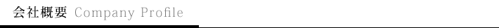 ҳ Company Profile